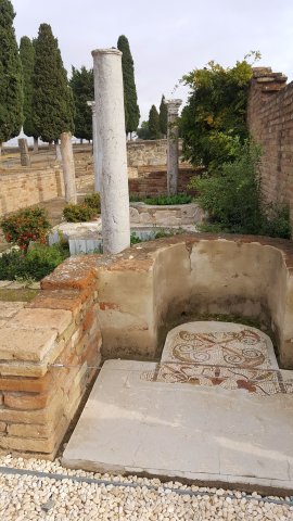 s396 italica